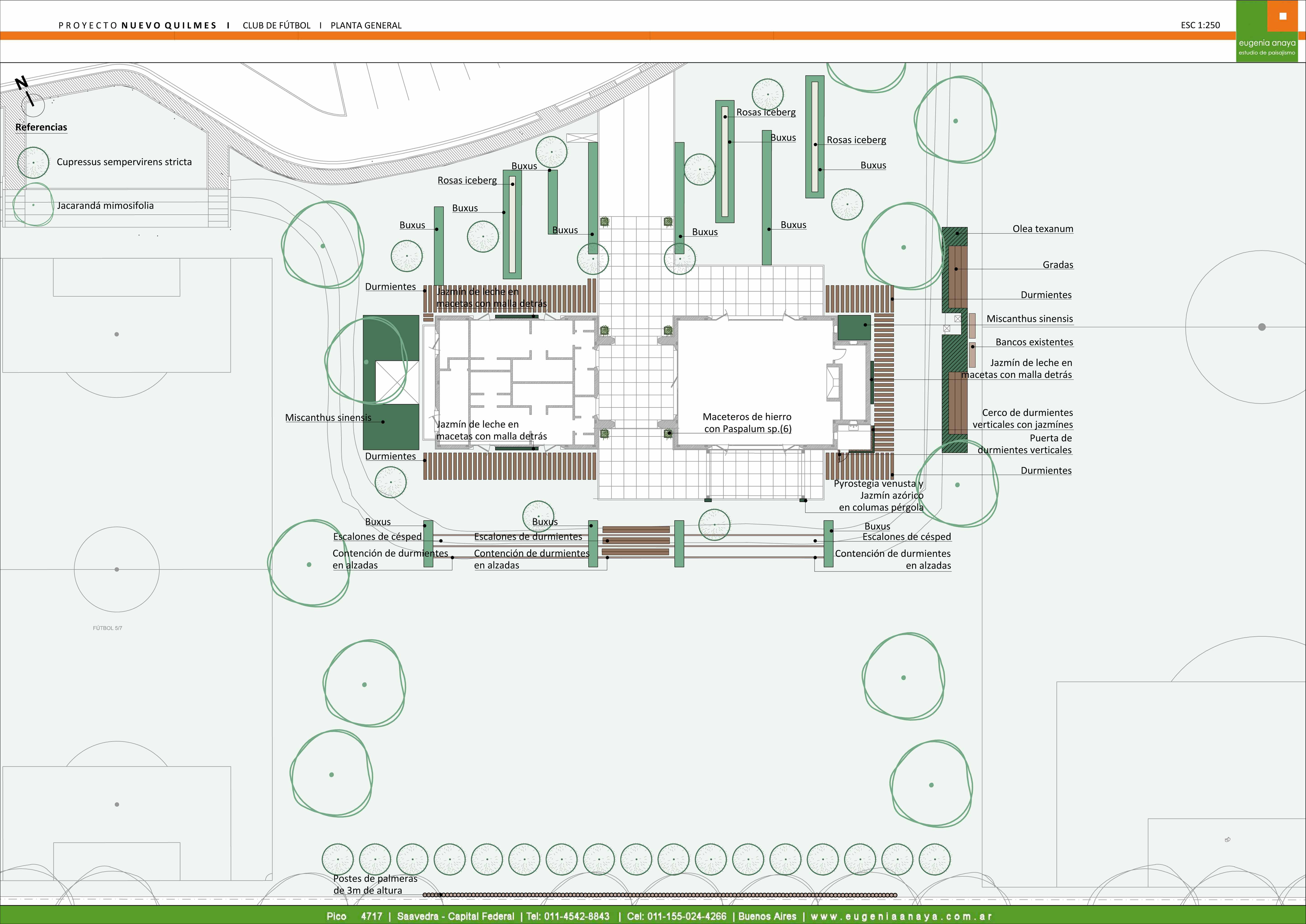 Layout1