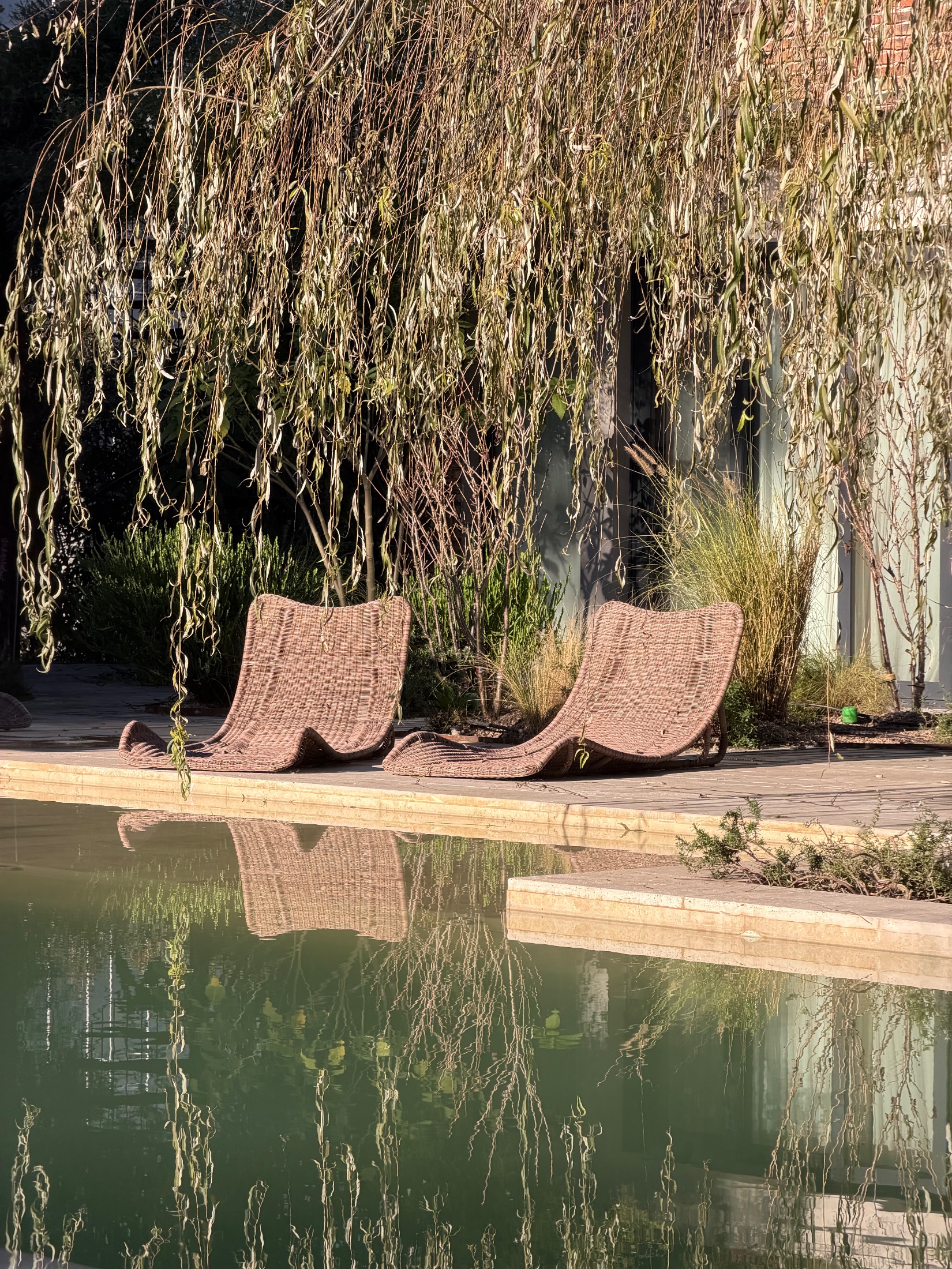 Jardín San Diego S+M