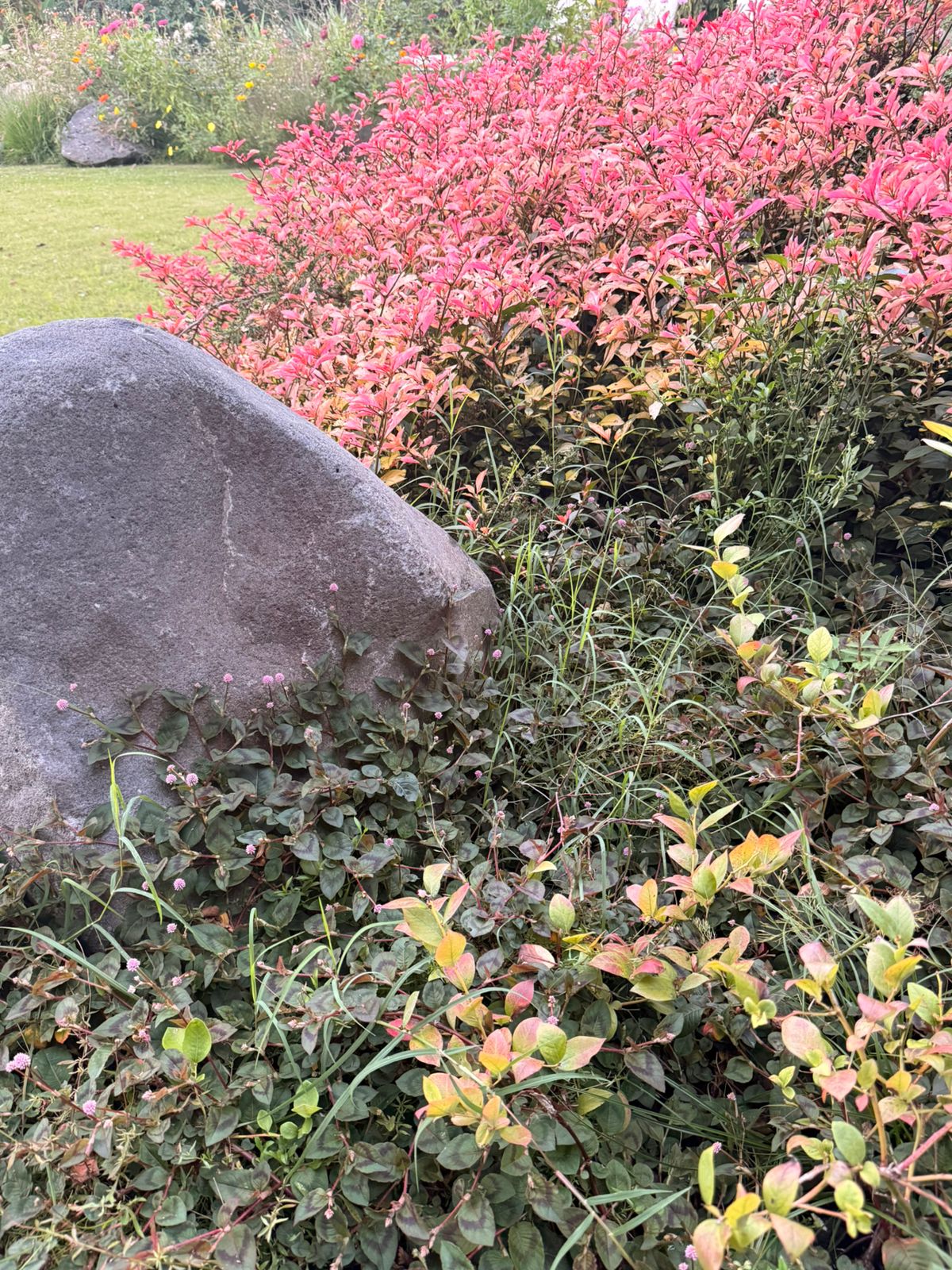 Jardín Cata