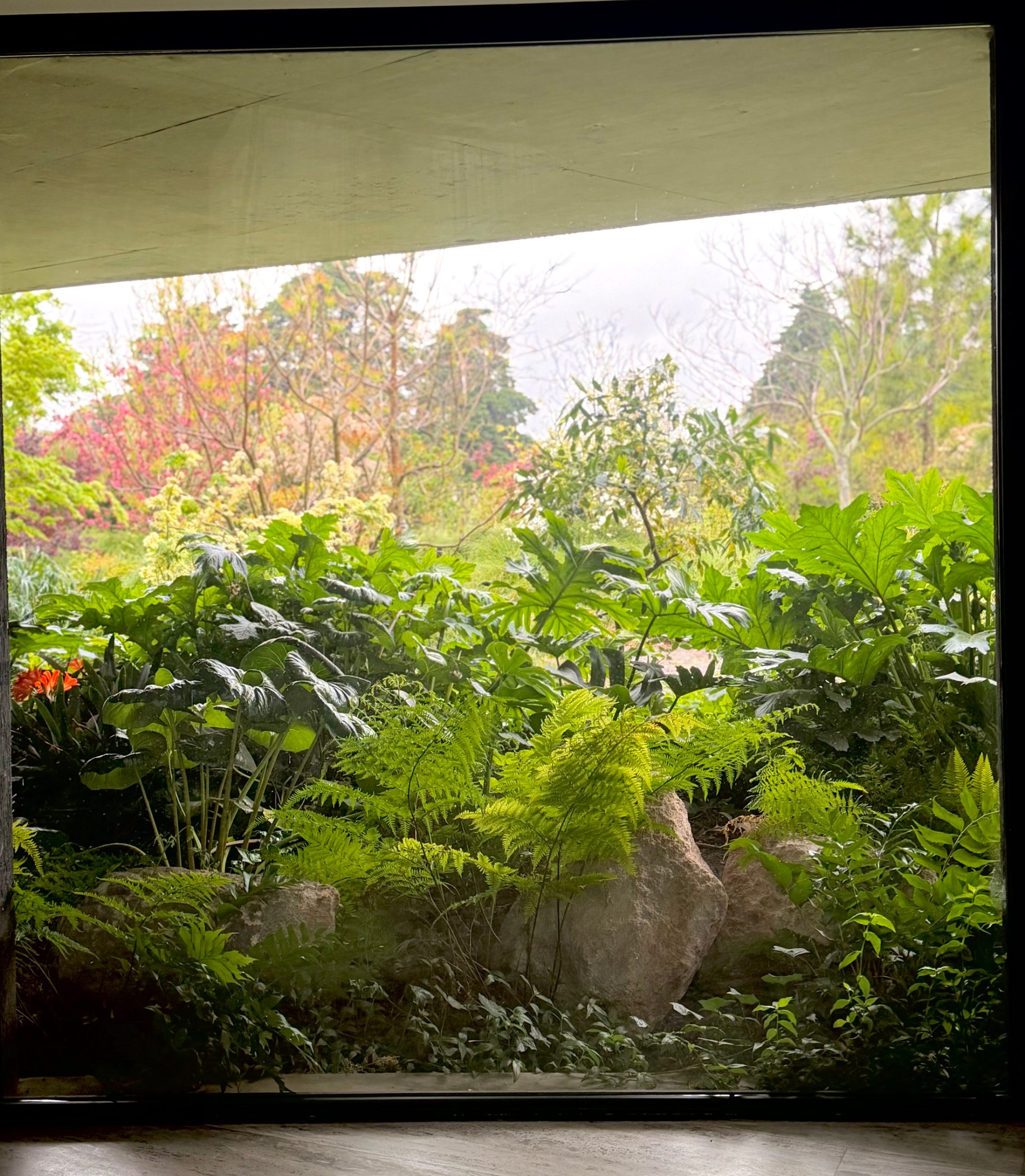 Jardín Cata