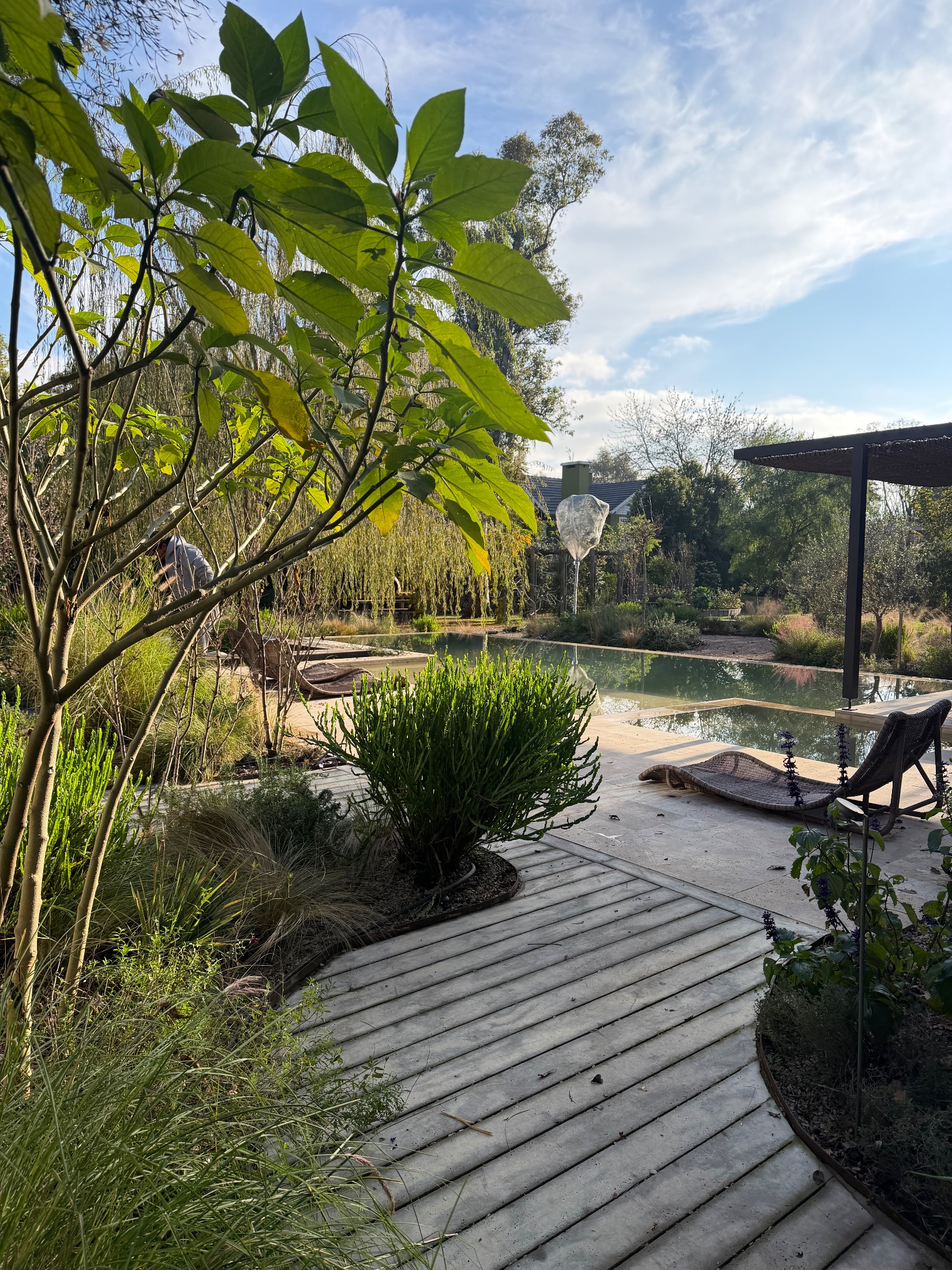 Jardín San Diego S+M