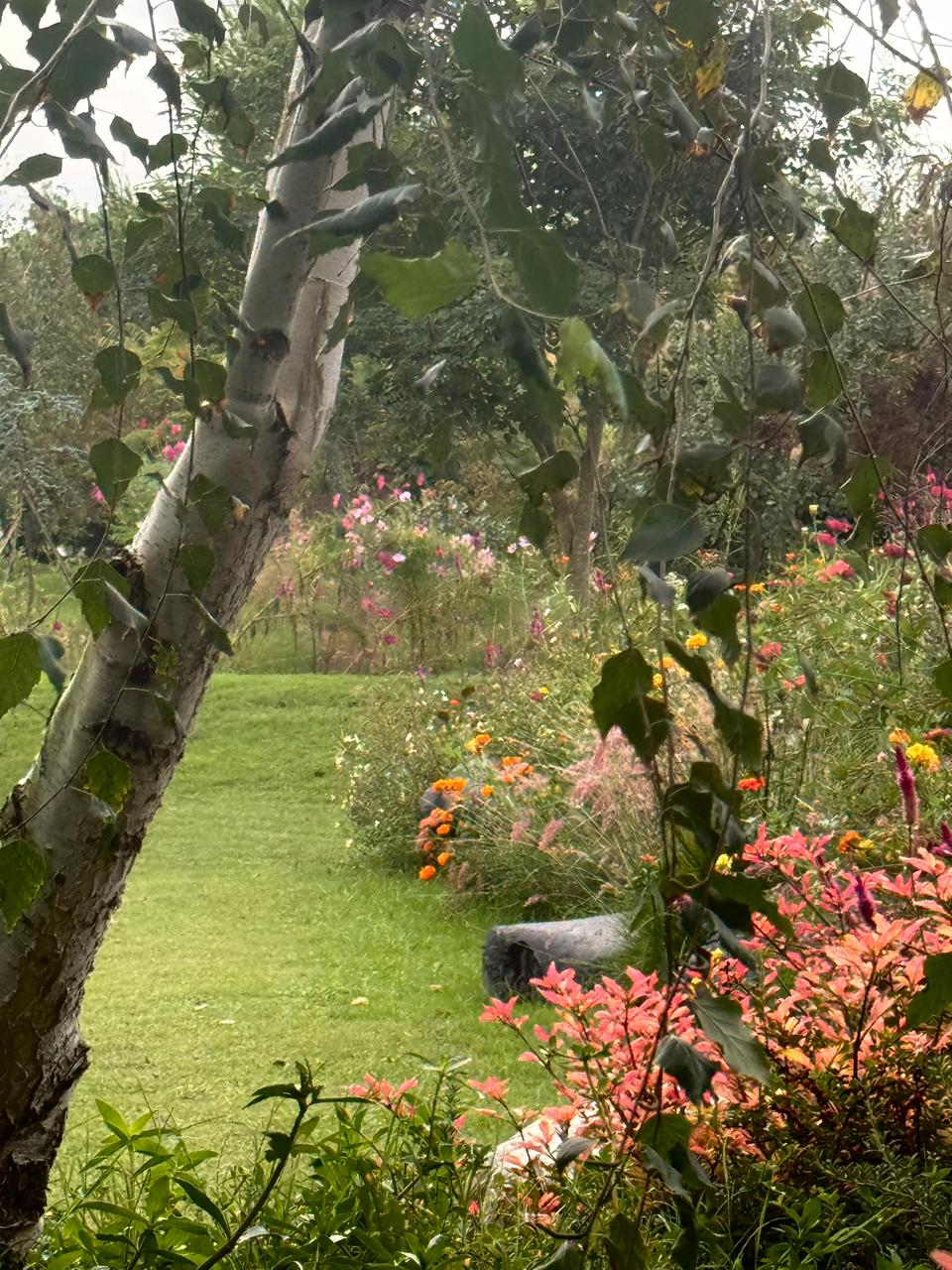 Jardín Cata