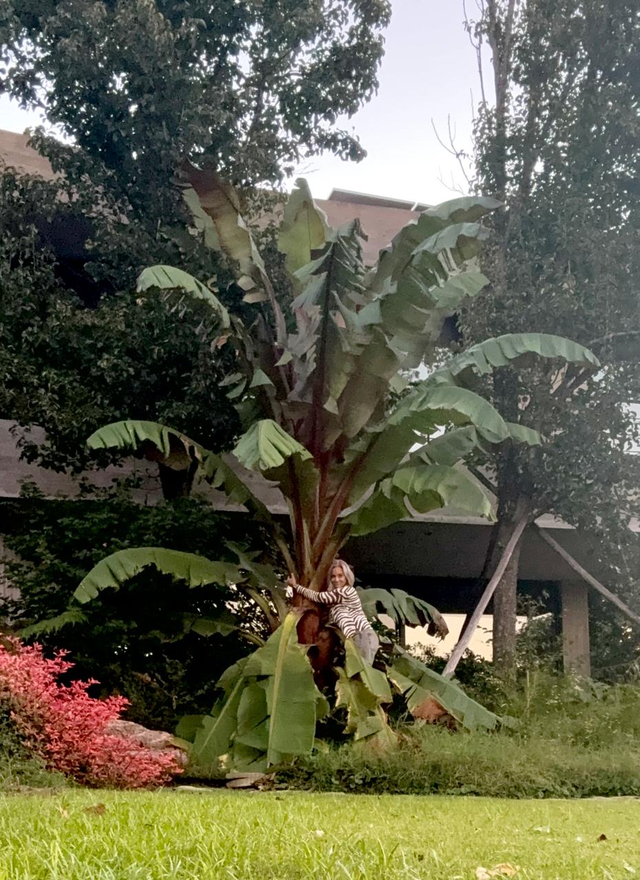 Jardín Cata