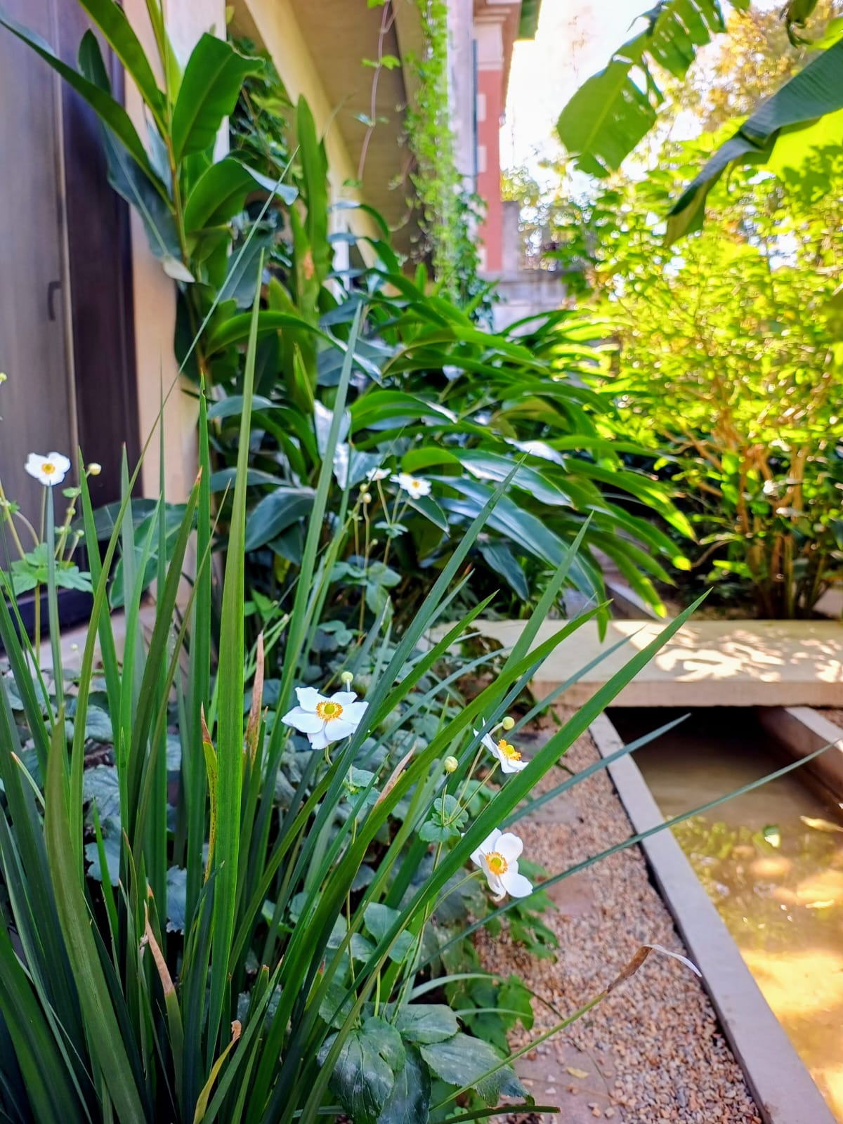 Jardín Mariela
