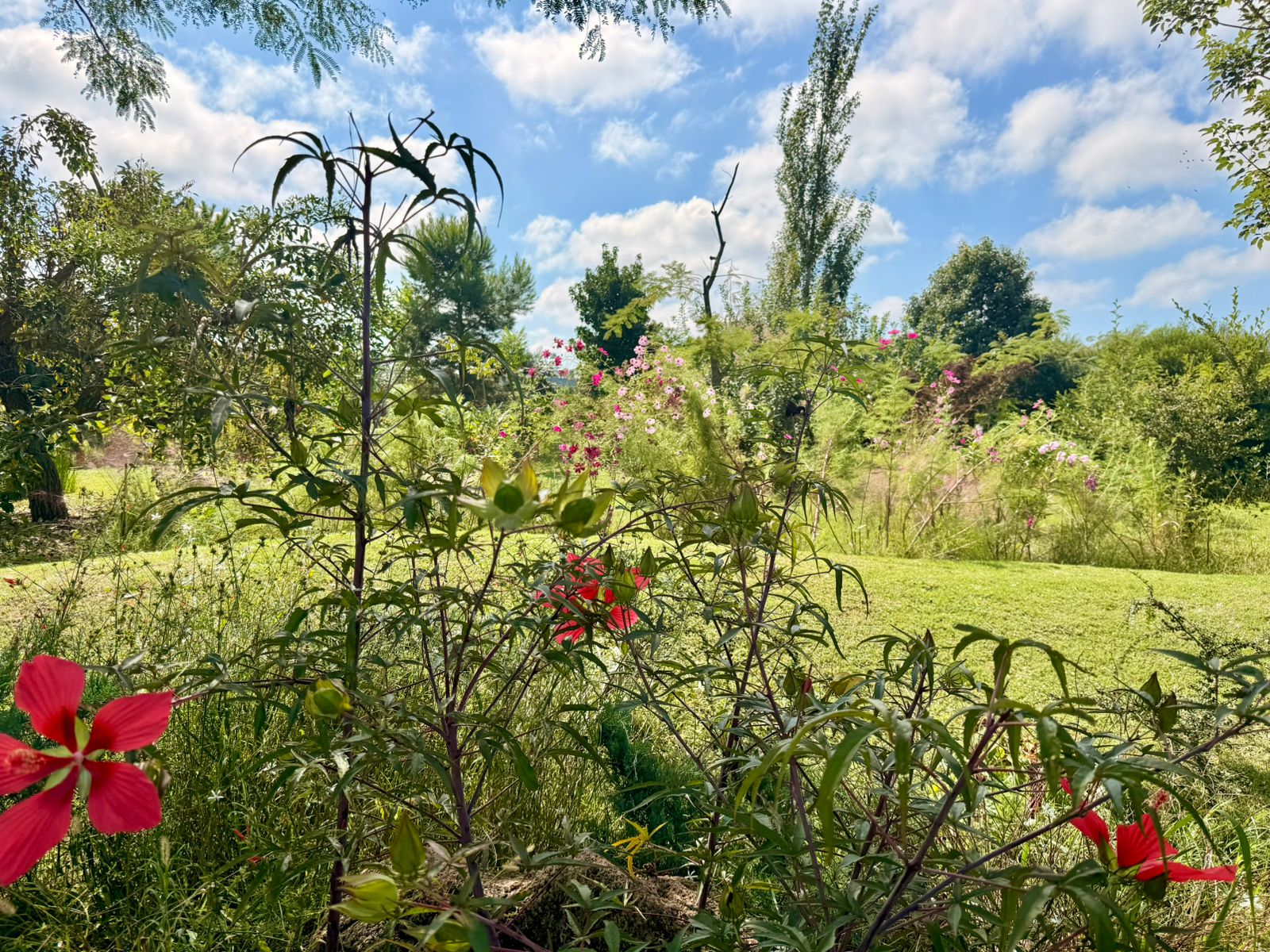 Jardín Cata