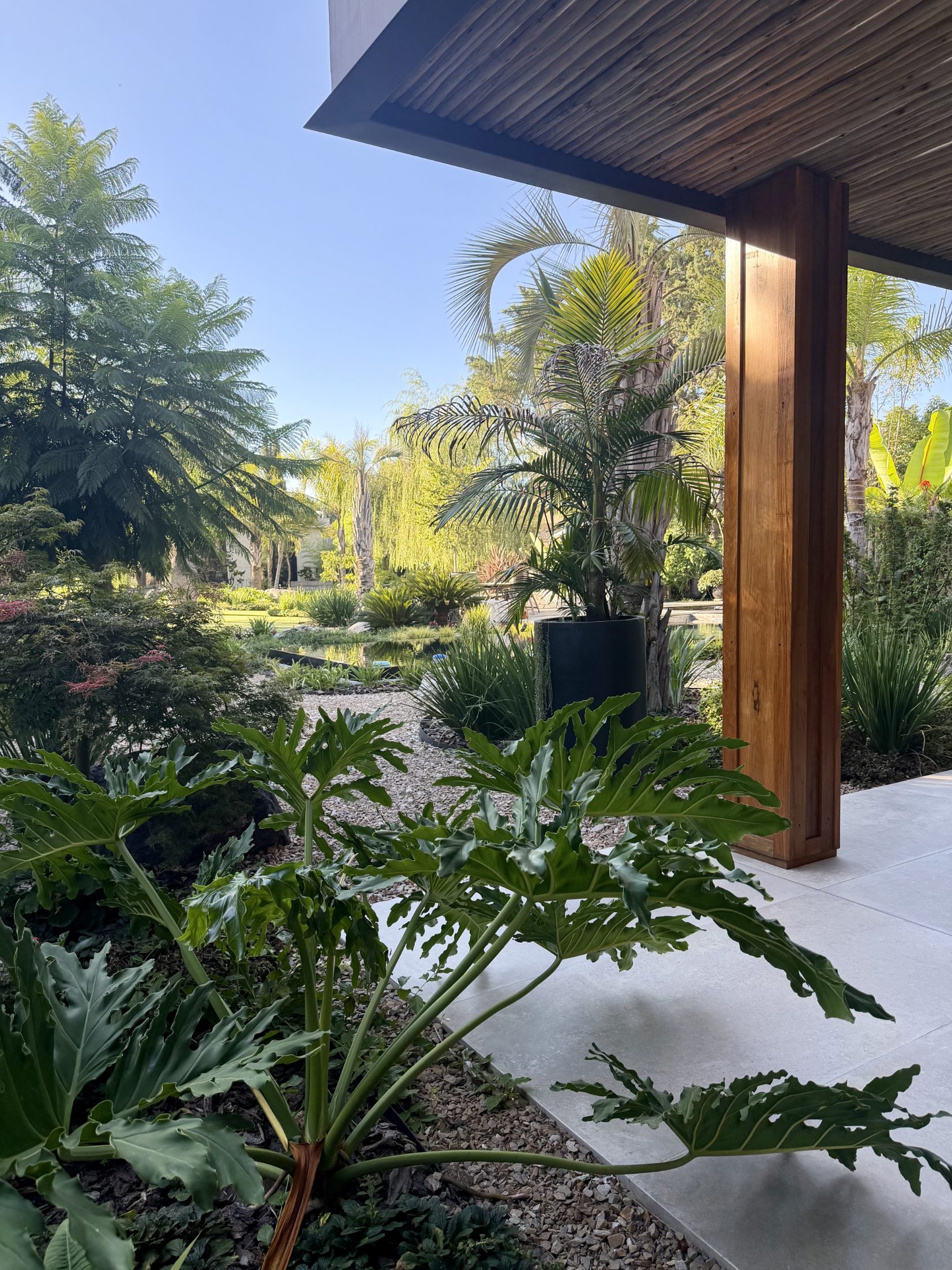 Jardín S+D