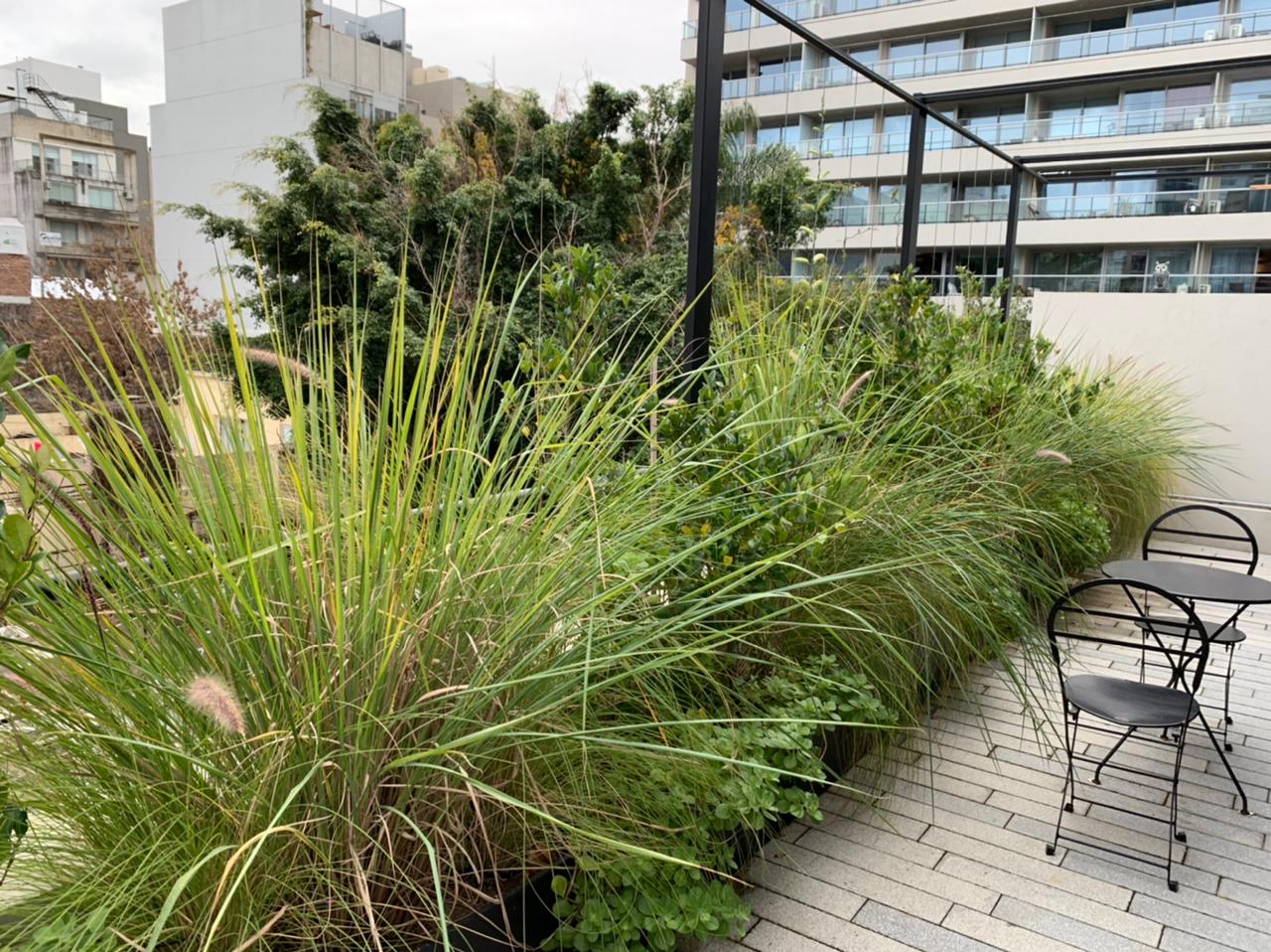 Terraza D+B