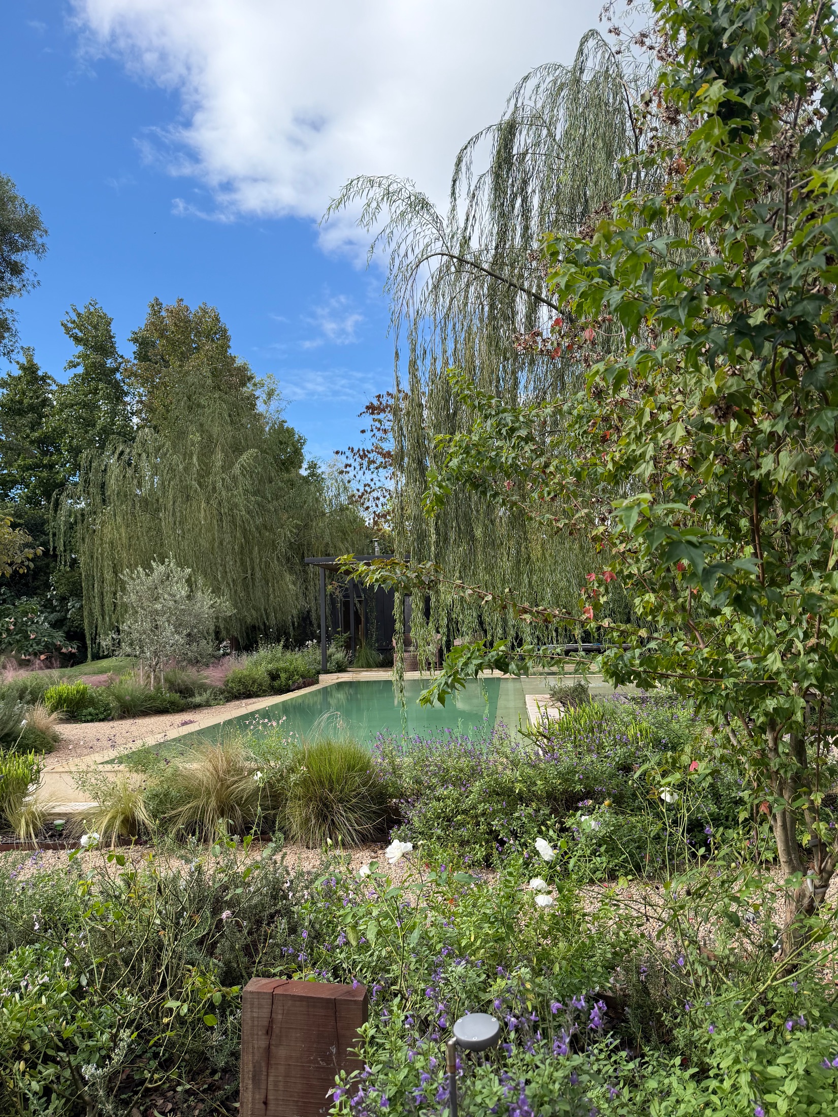 Jardín San Diego S+M