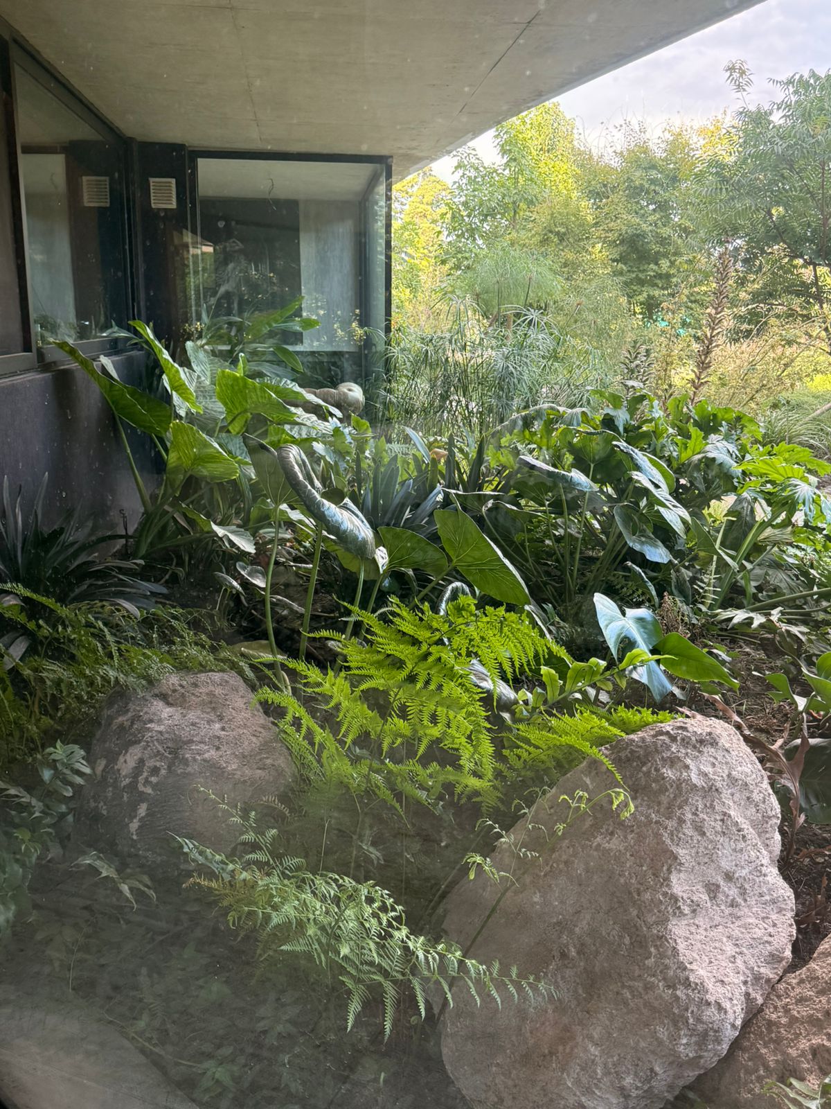 Jardín Cata
