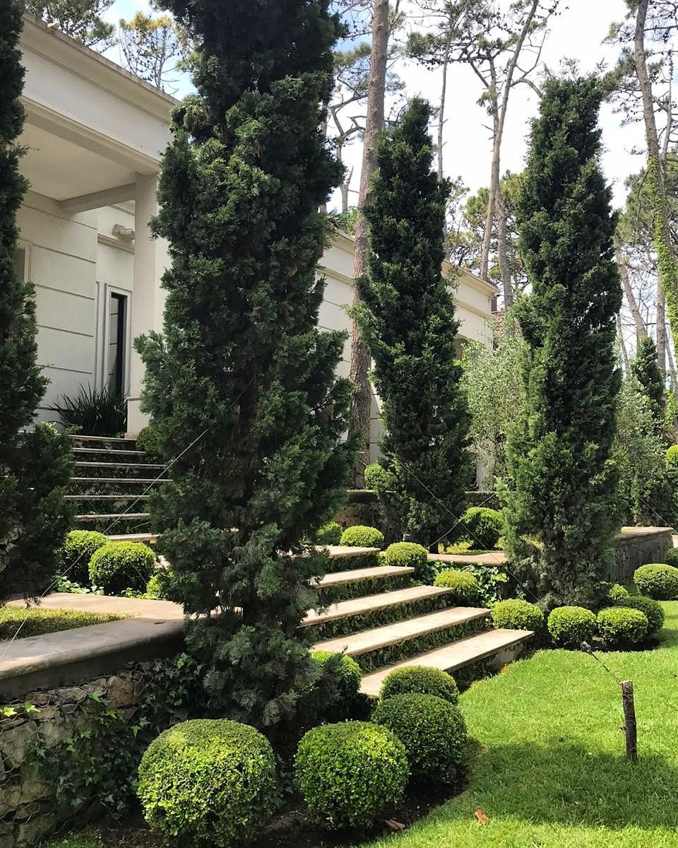 Jardín Ángeles