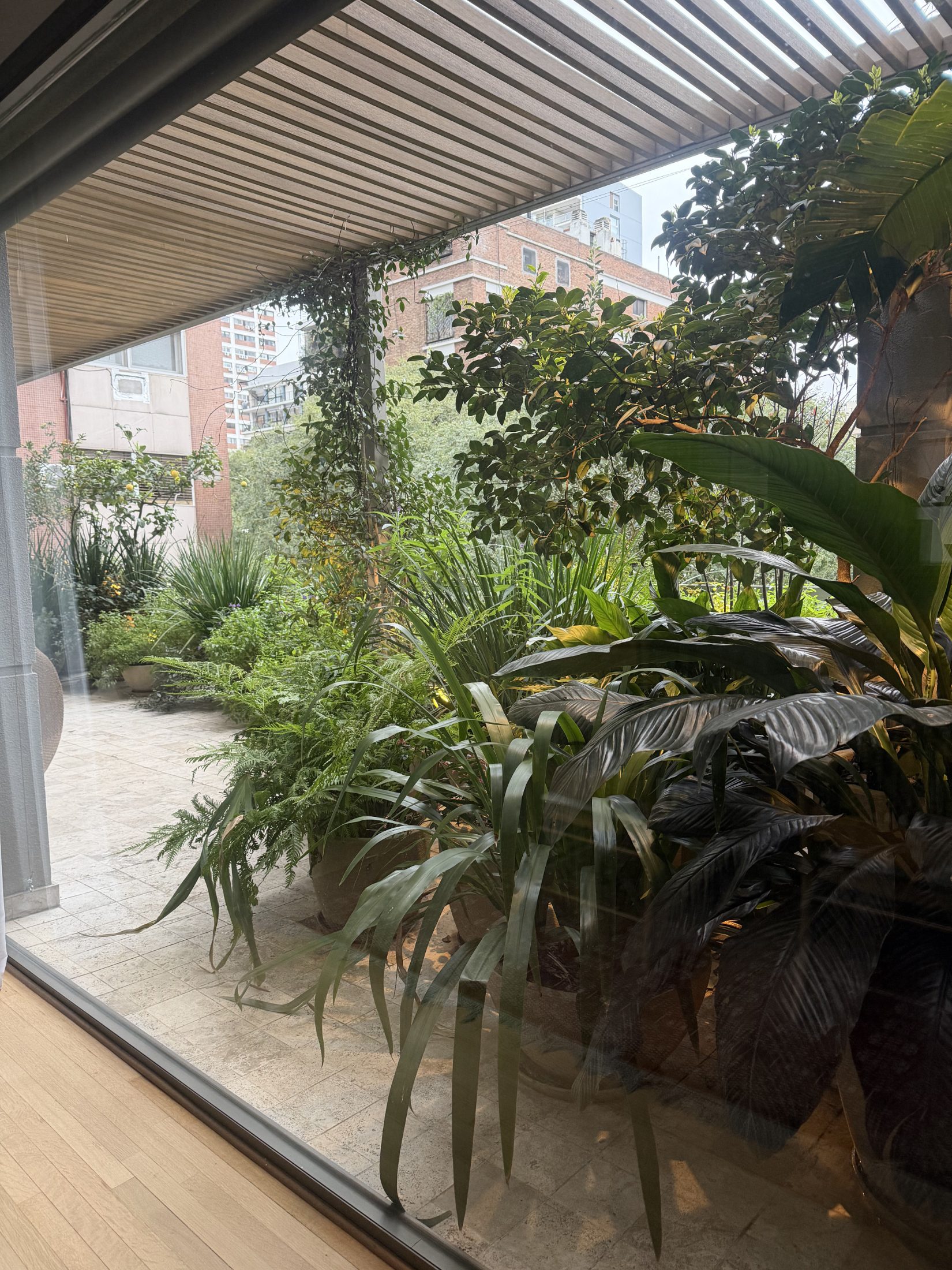 Terraza Estela