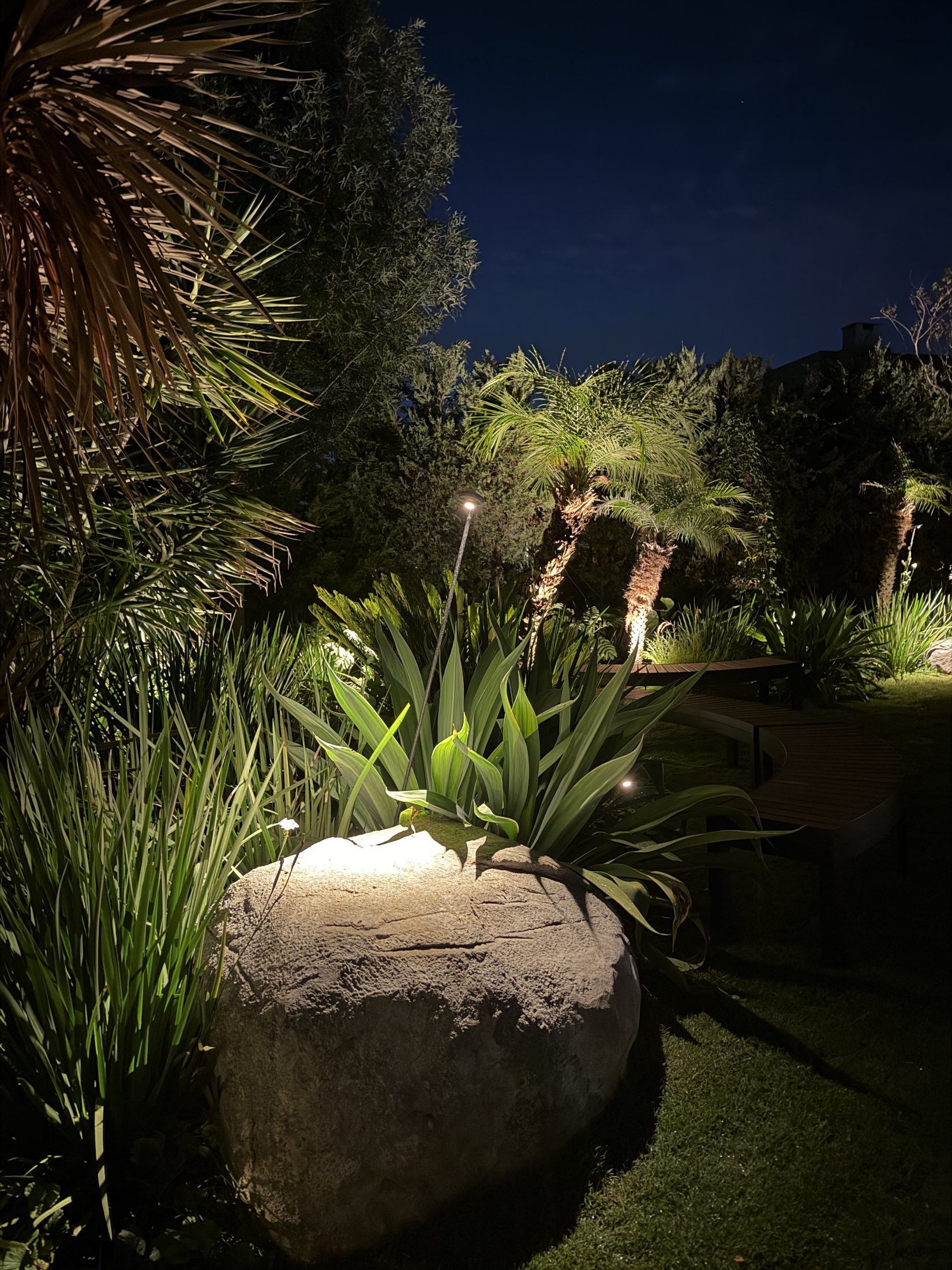 Jardín Casuarinas