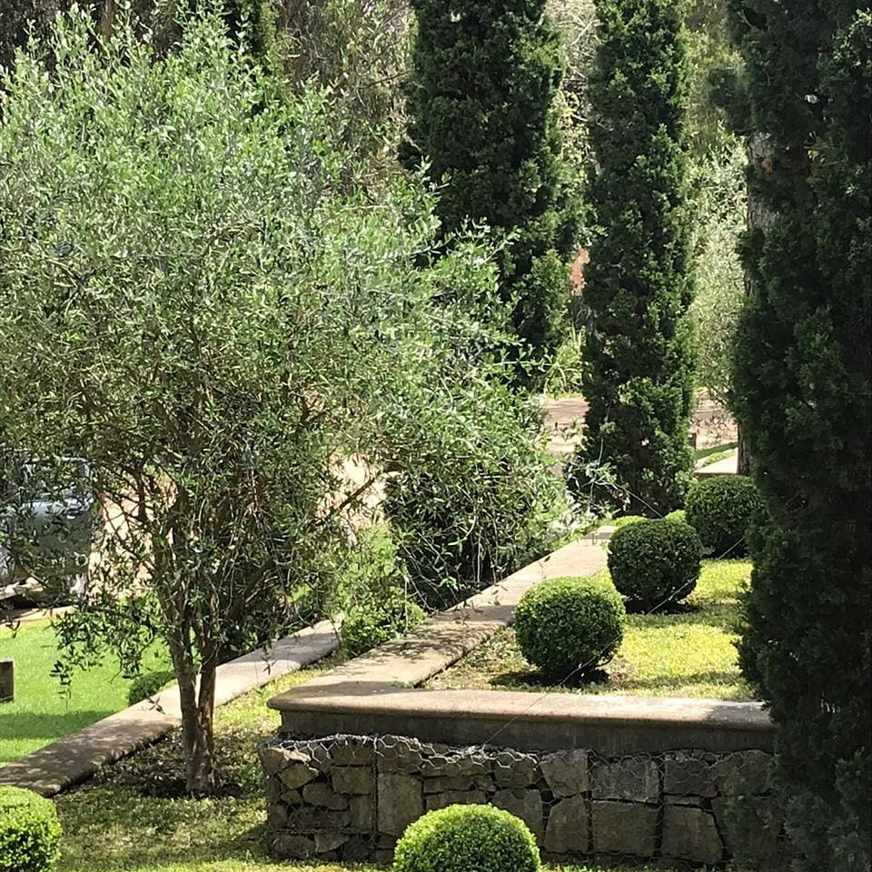 Jardín Ángeles