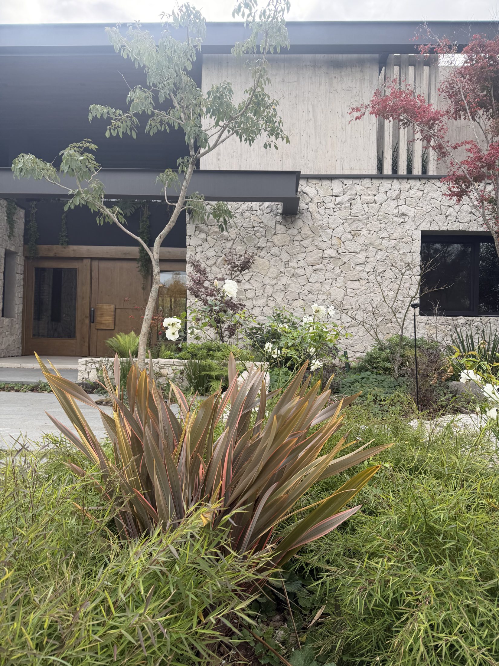Jardín S+D
