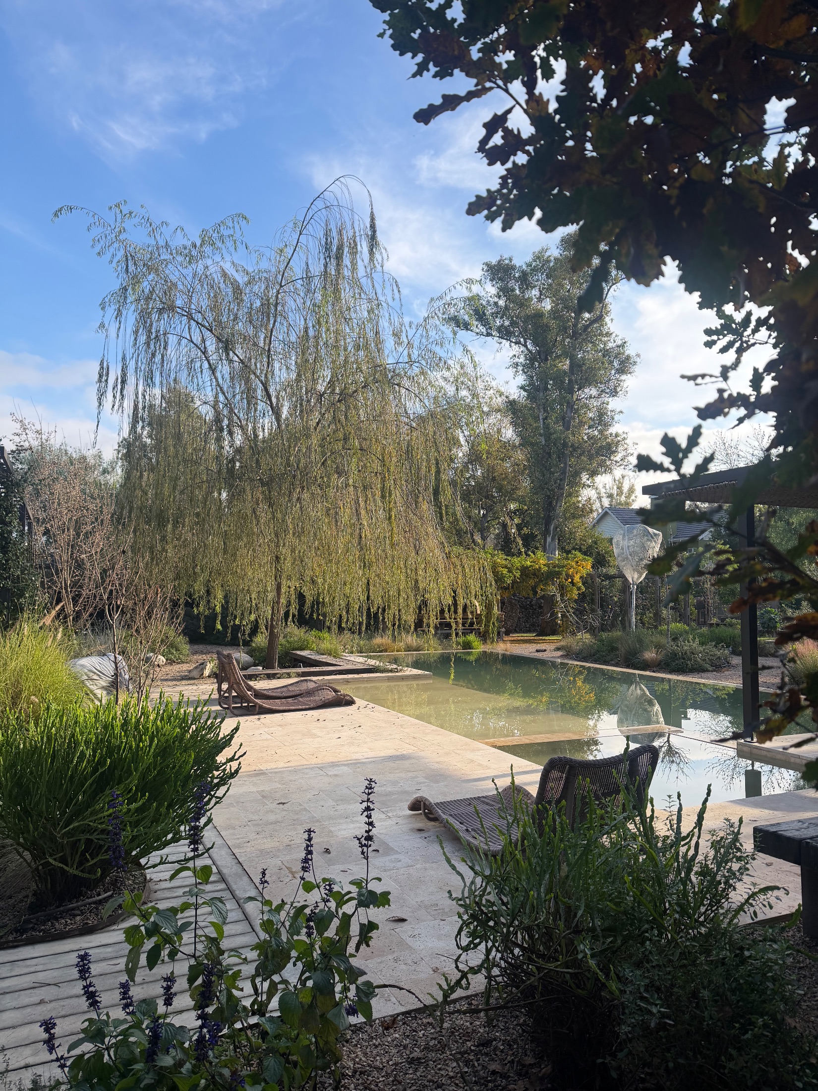 Jardín San Diego S+M