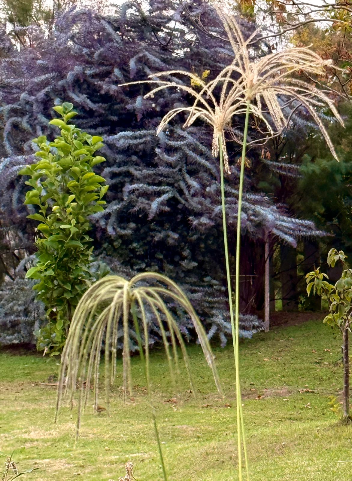 Jardín Cata