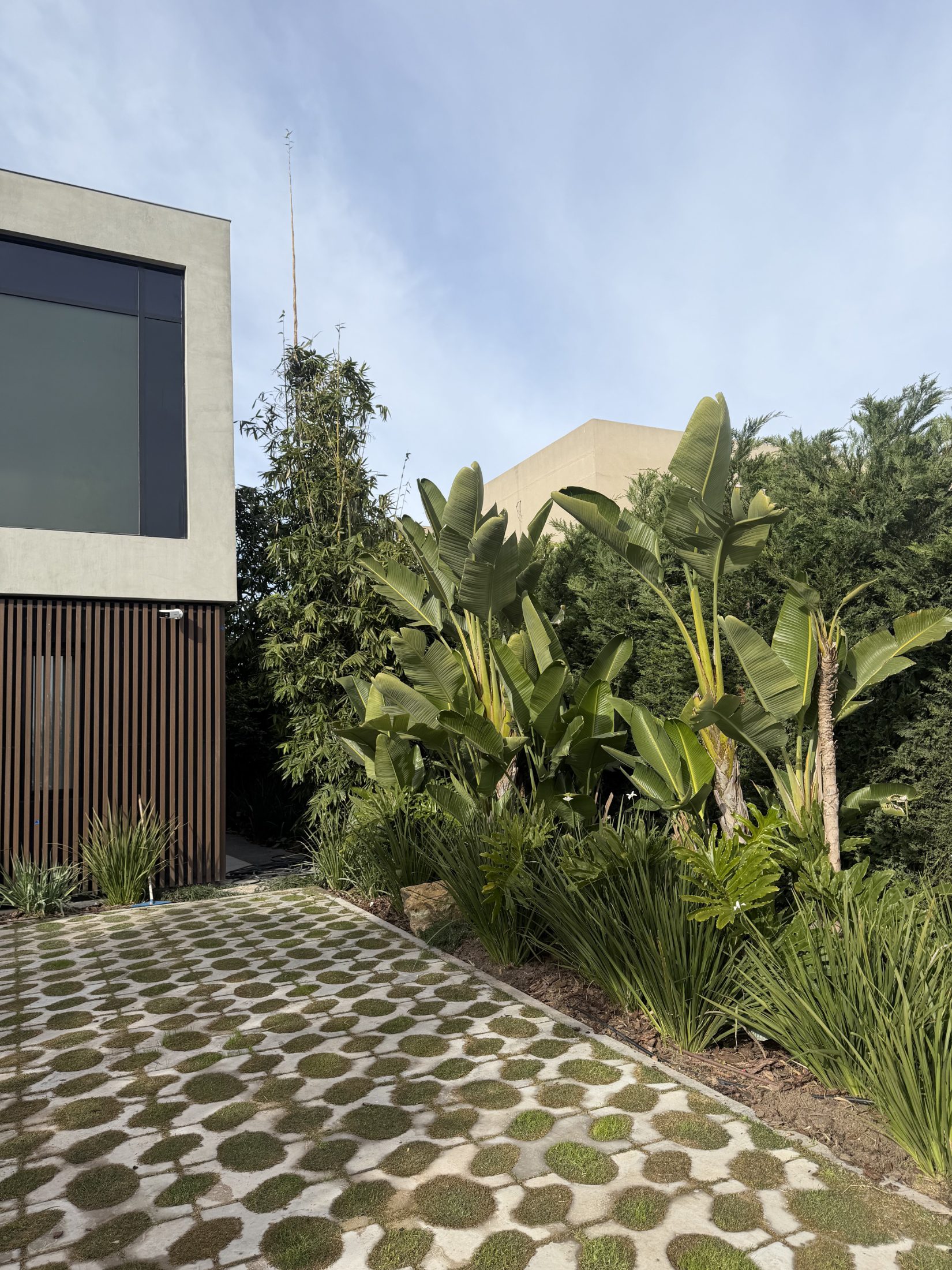 Jardín Casuarinas