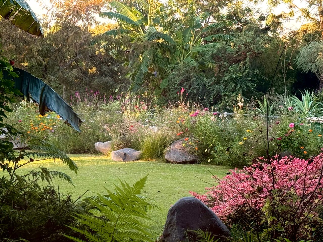 Jardín Cata