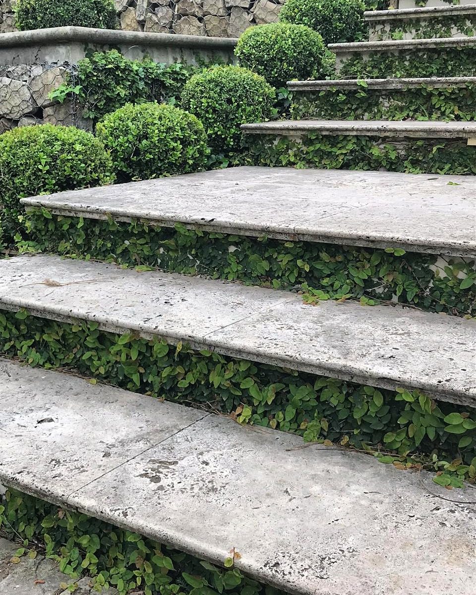 Jardín Ángeles