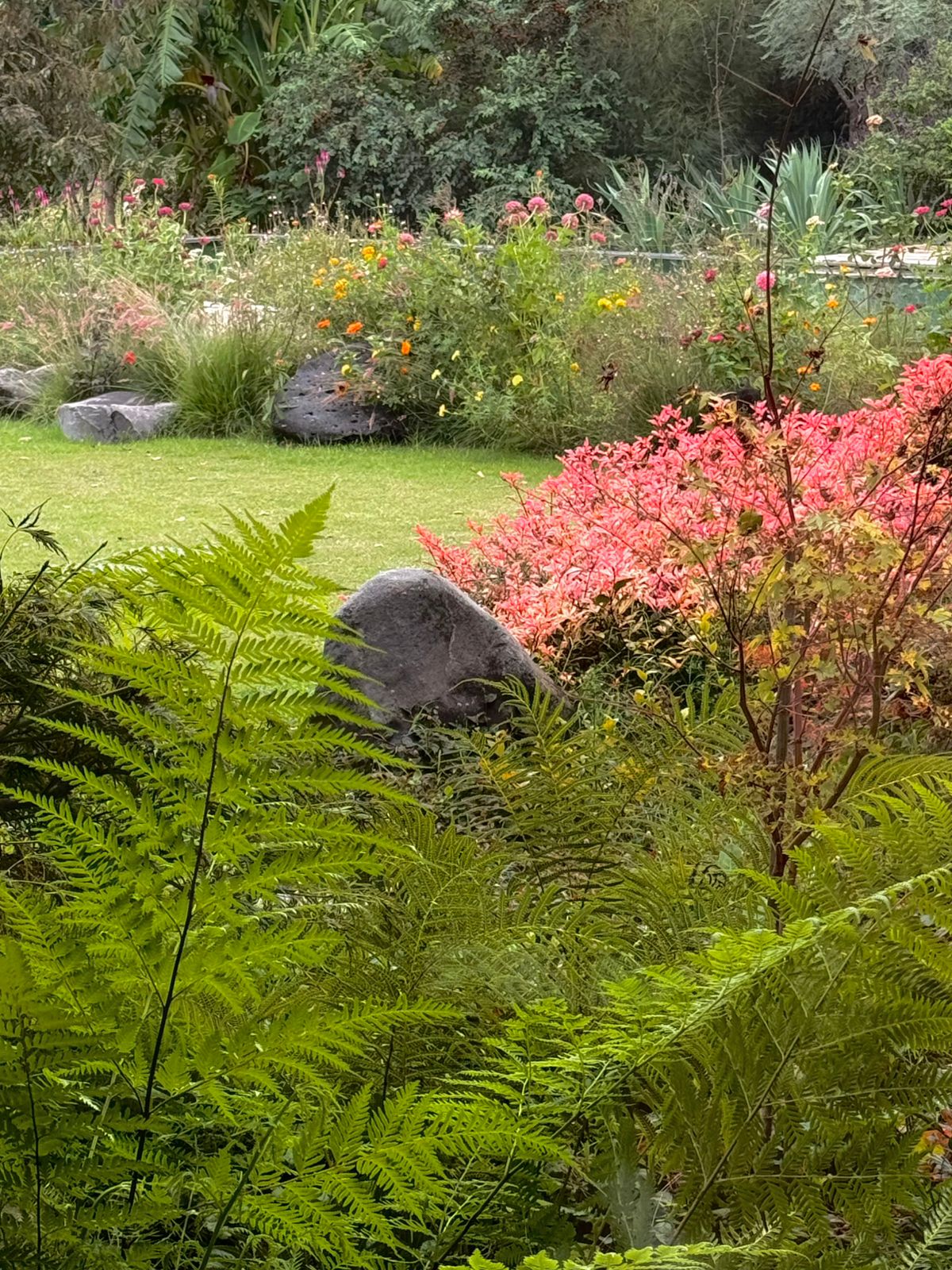 Jardín Cata