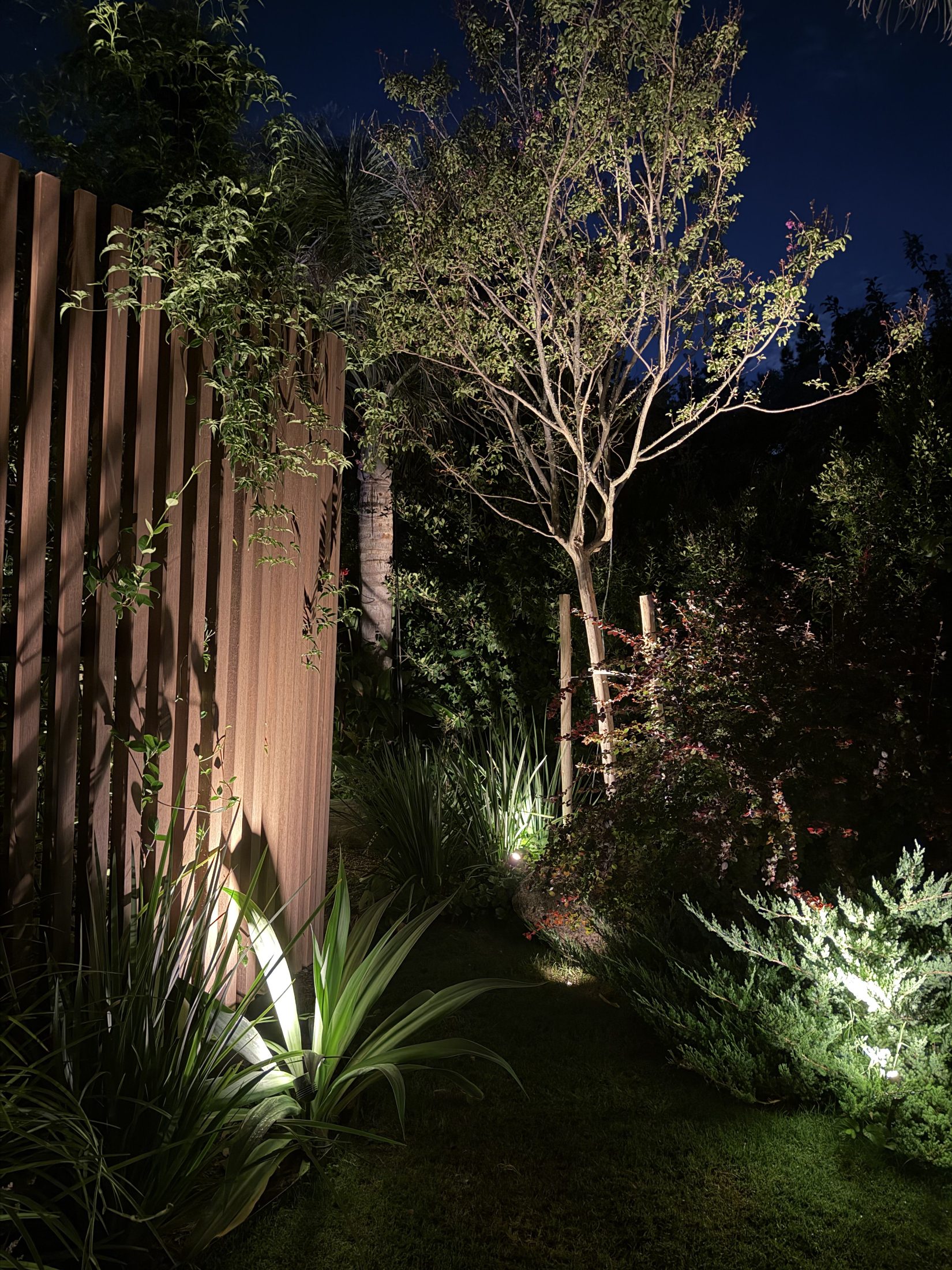 Jardín Casuarinas