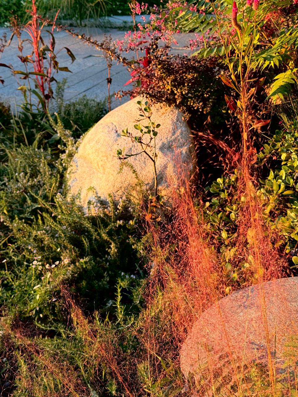 Jardín Cata