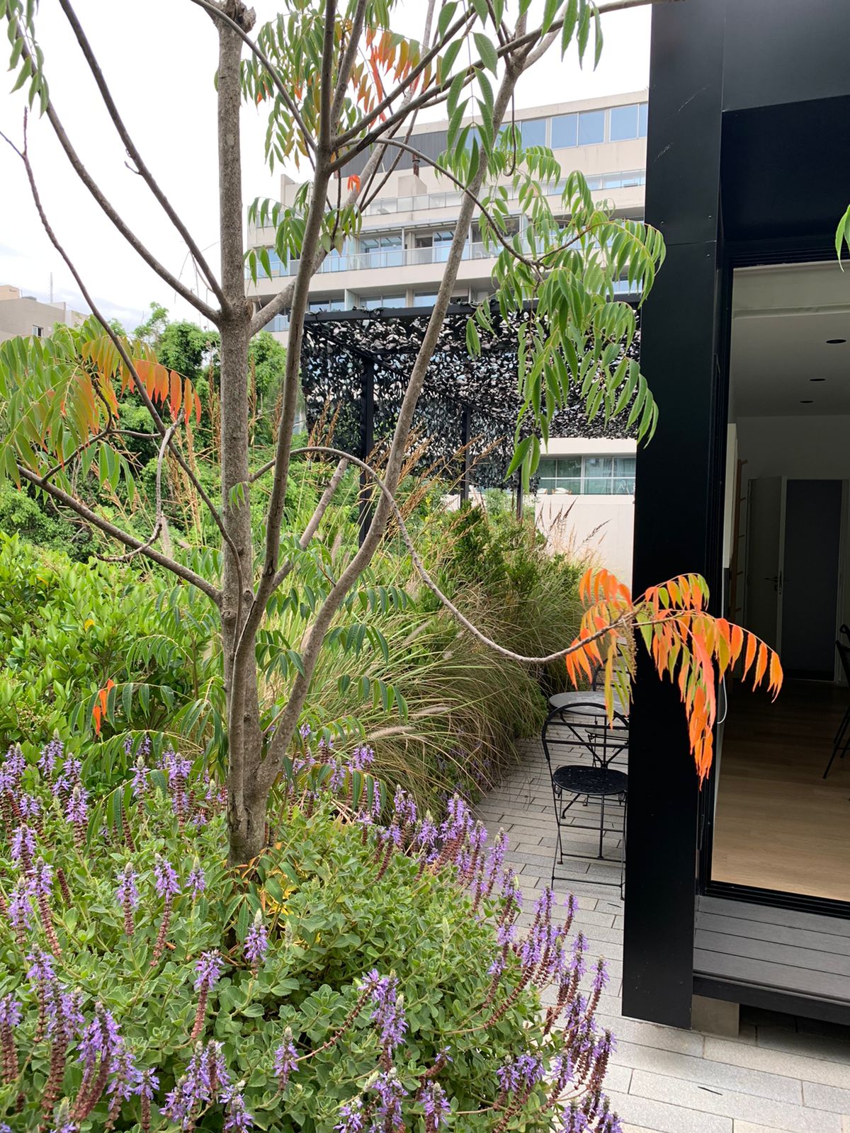 Terraza D+B