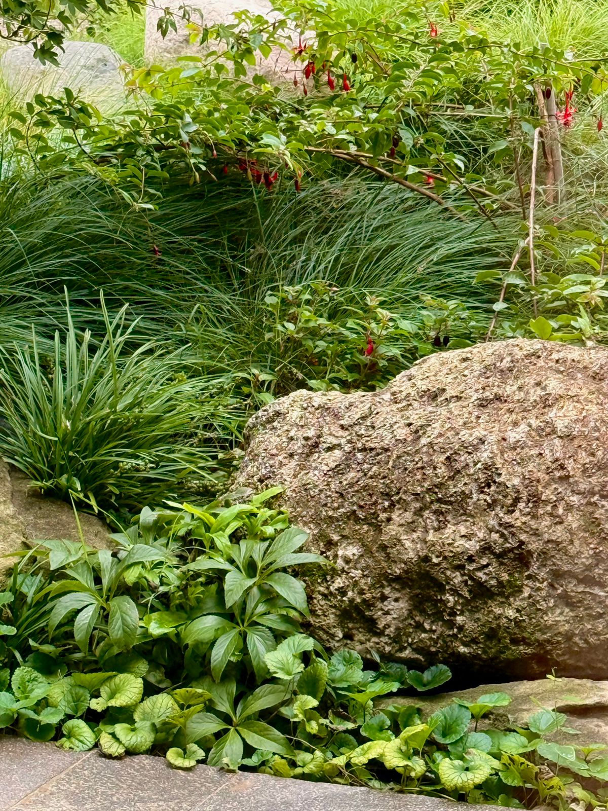 Jardín Cata