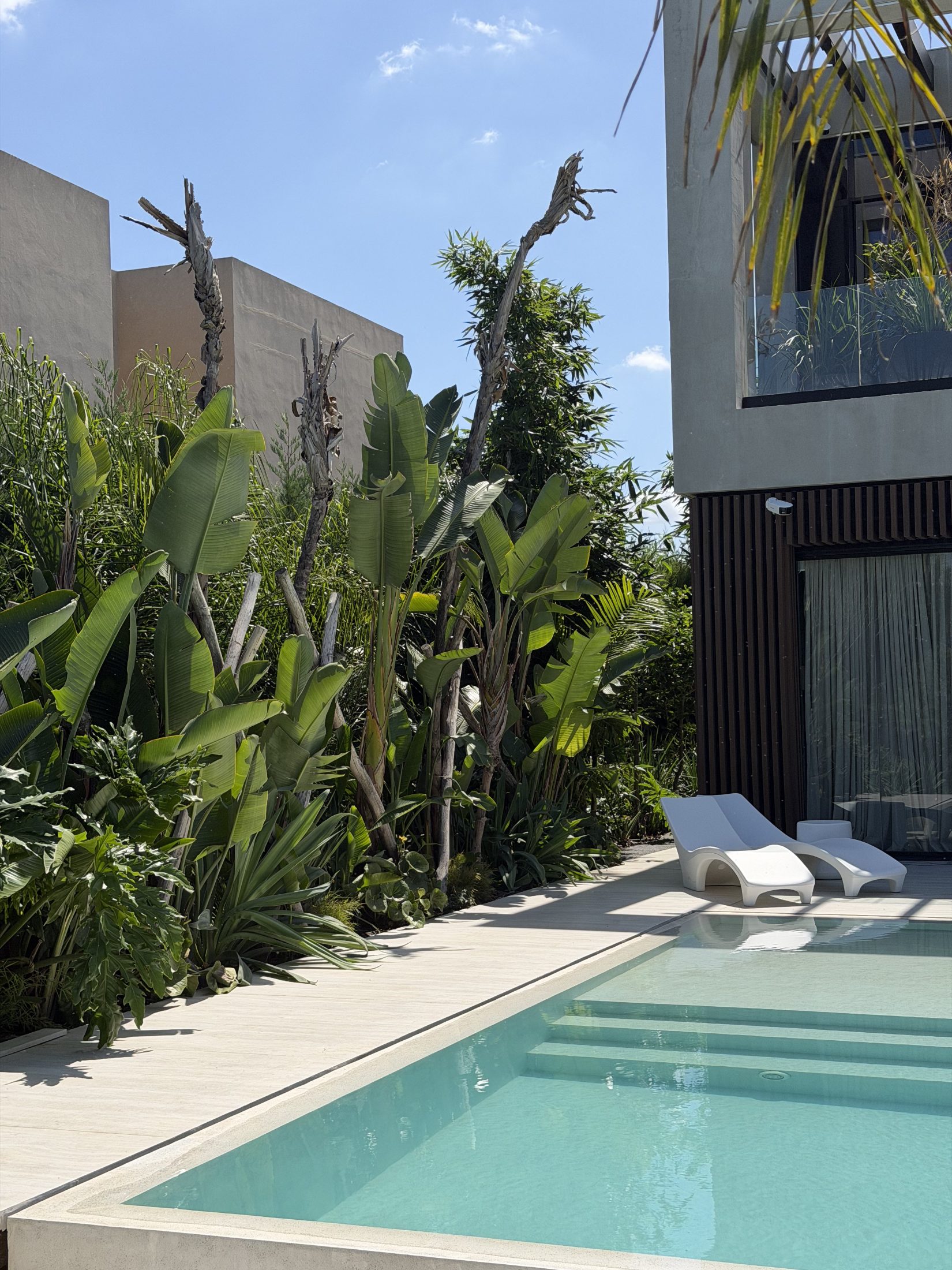 Jardín Casuarinas