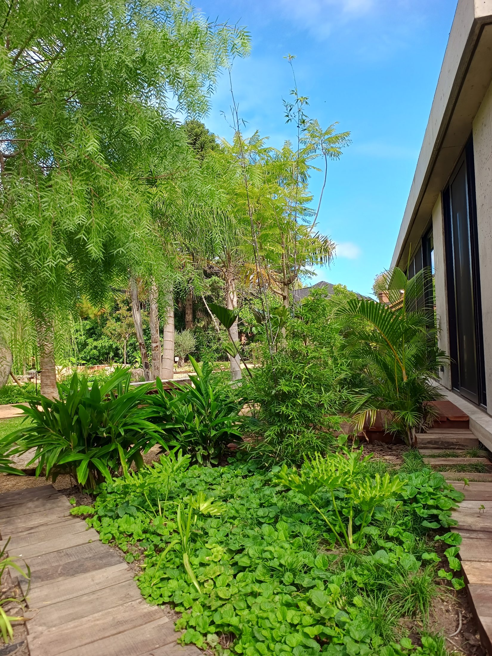 Jardín S+D