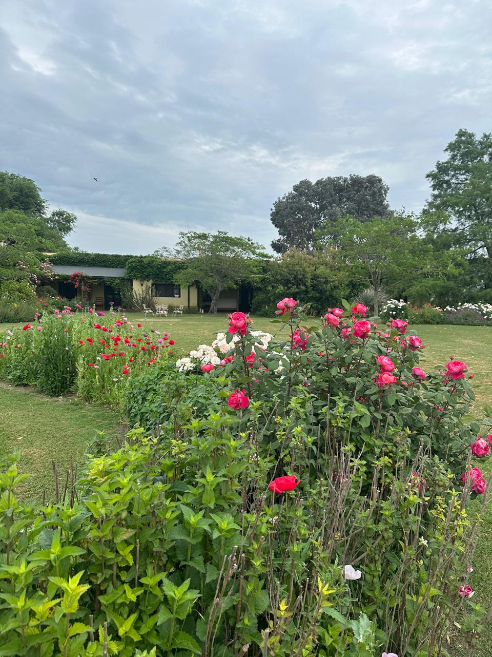 Parque Romina