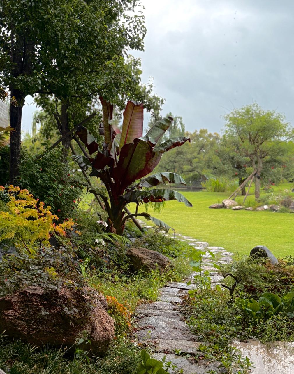 Jardín Cata