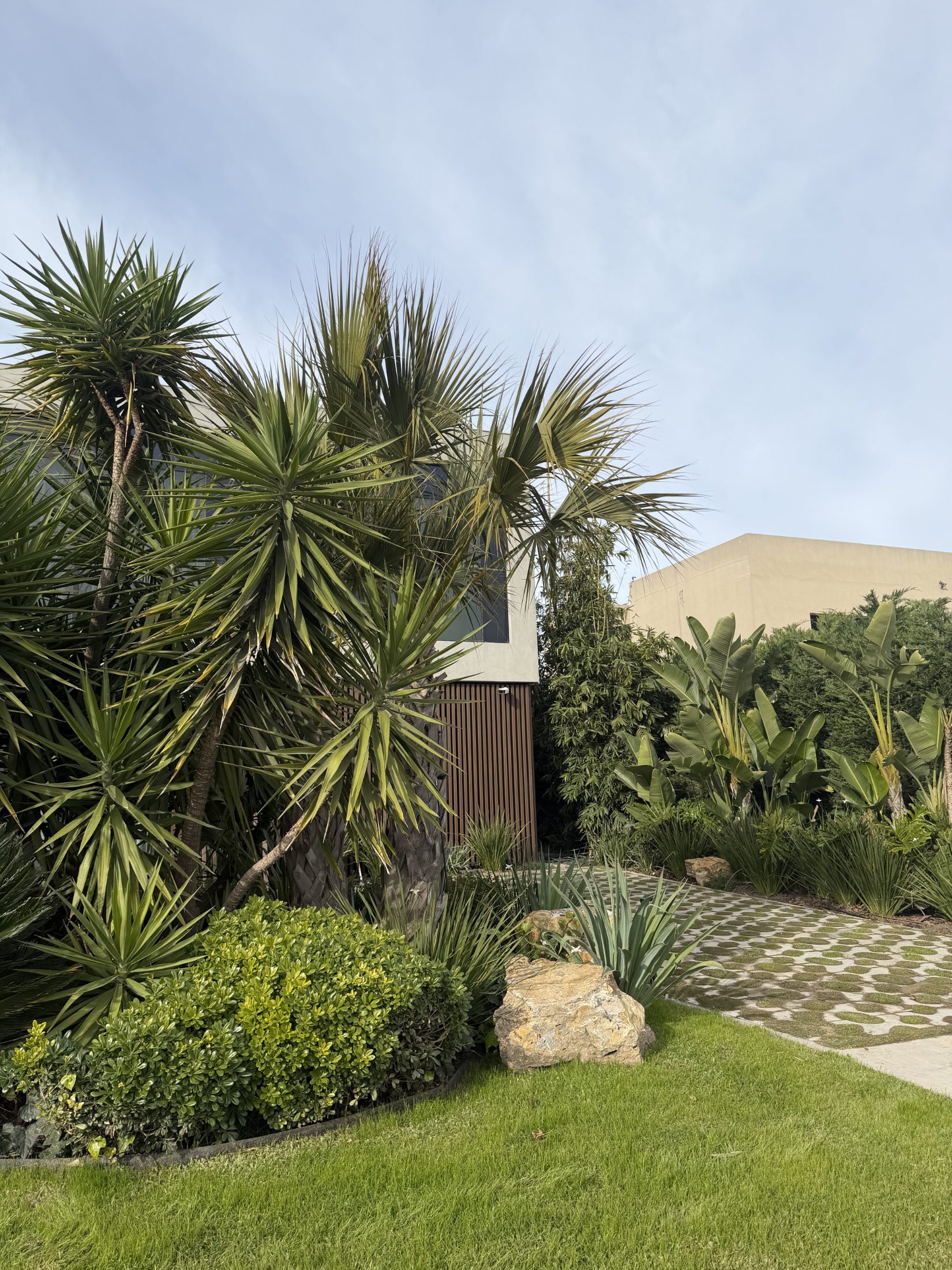 Jardín Casuarinas