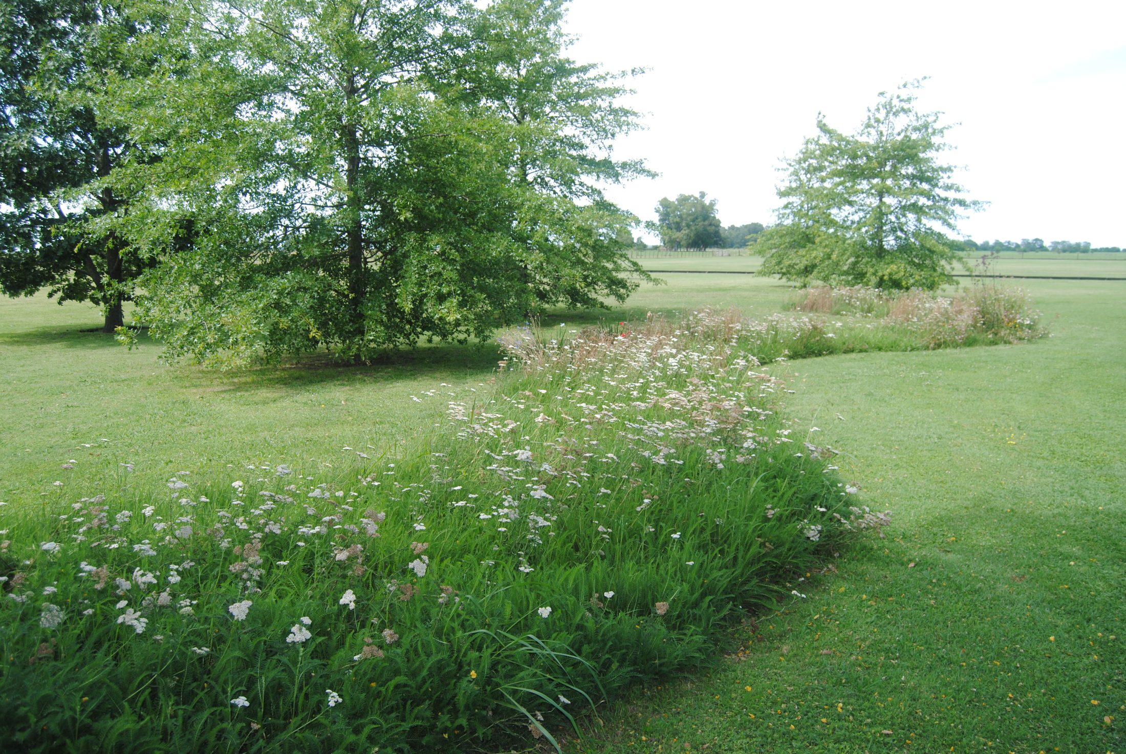 Parque Romina