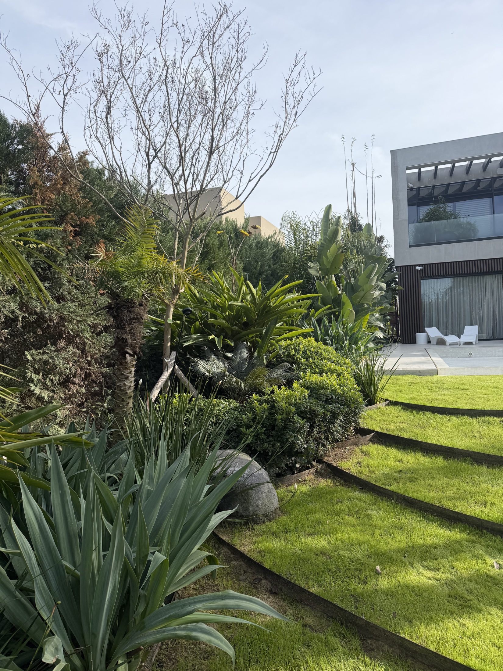 Jardín Casuarinas