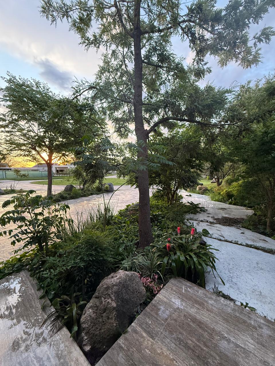 Jardín Cata