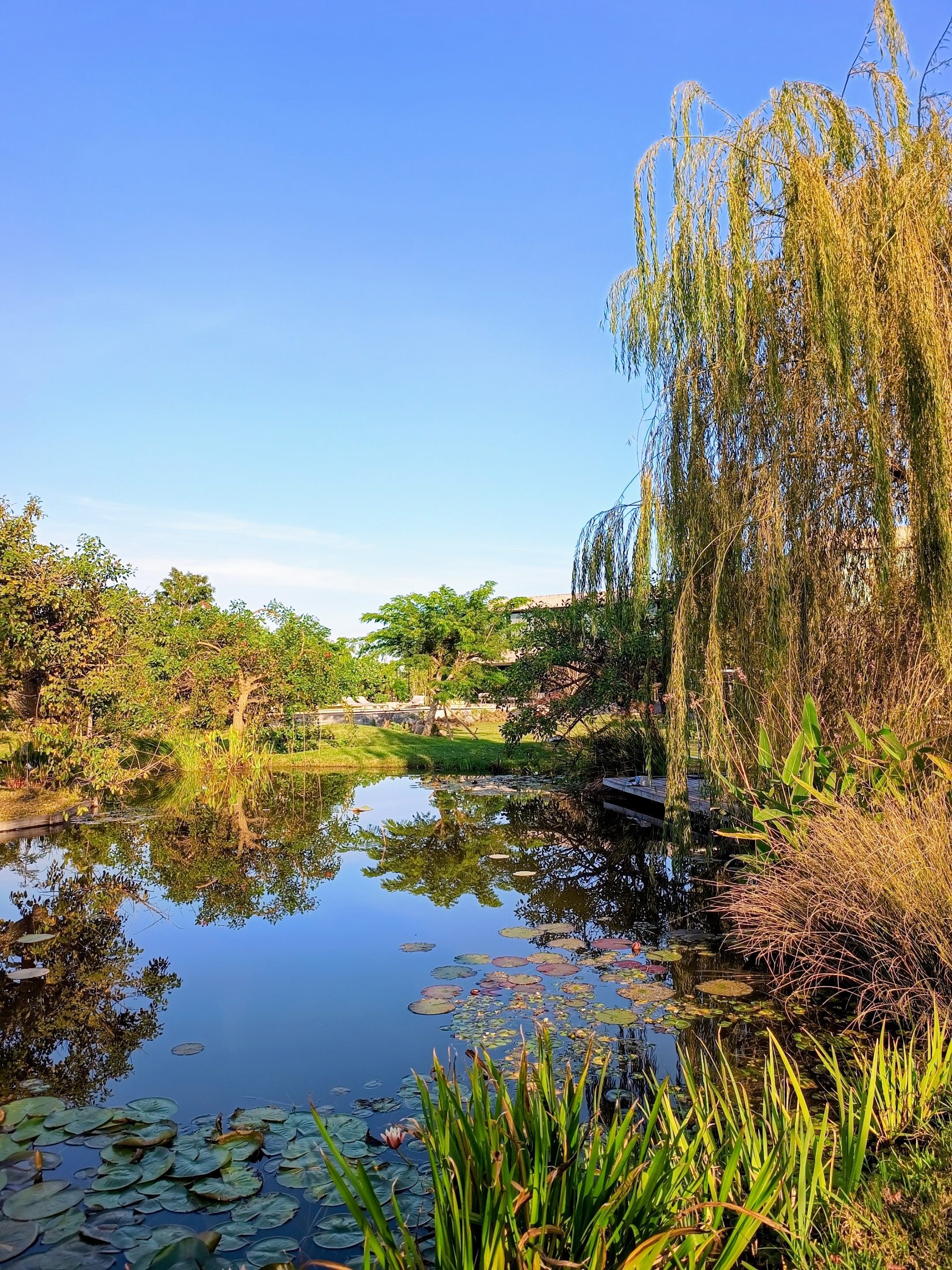 Jardín Cata