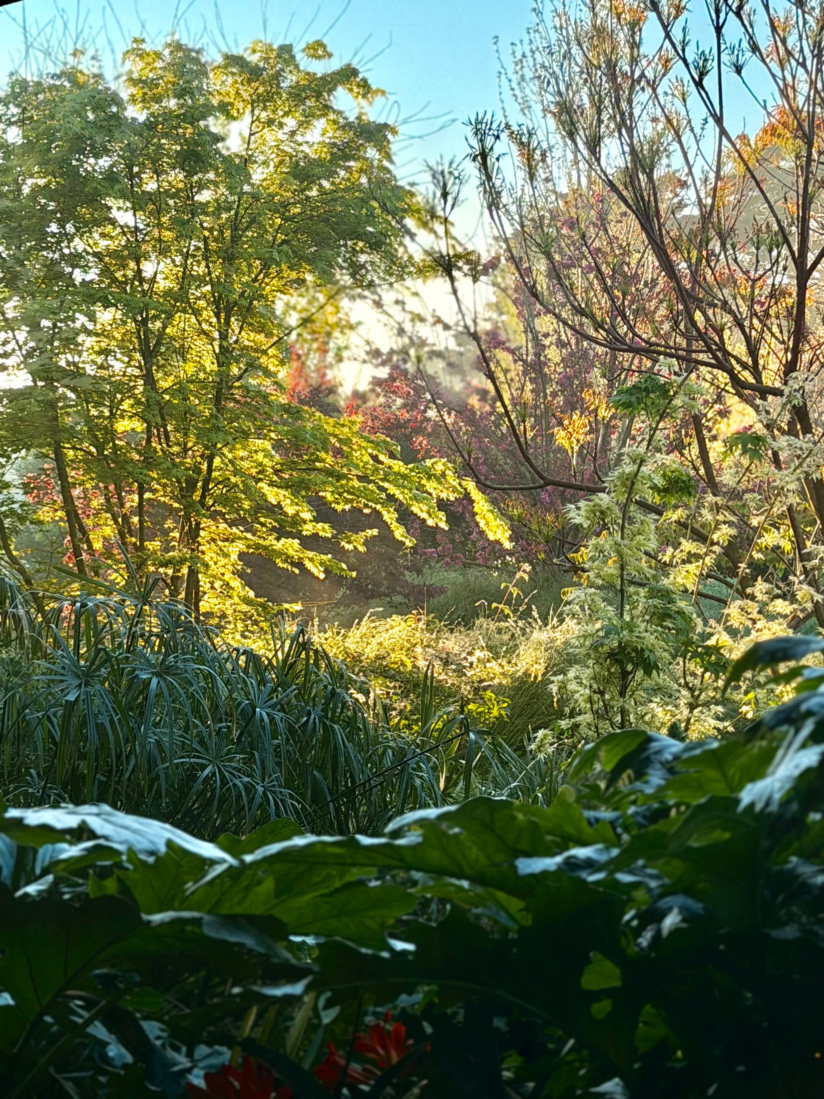 Jardín Cata