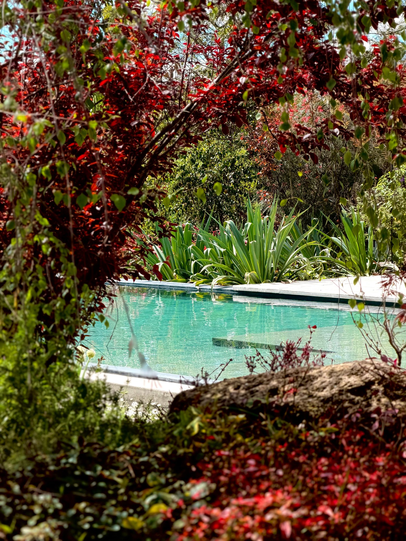 Jardín Cata