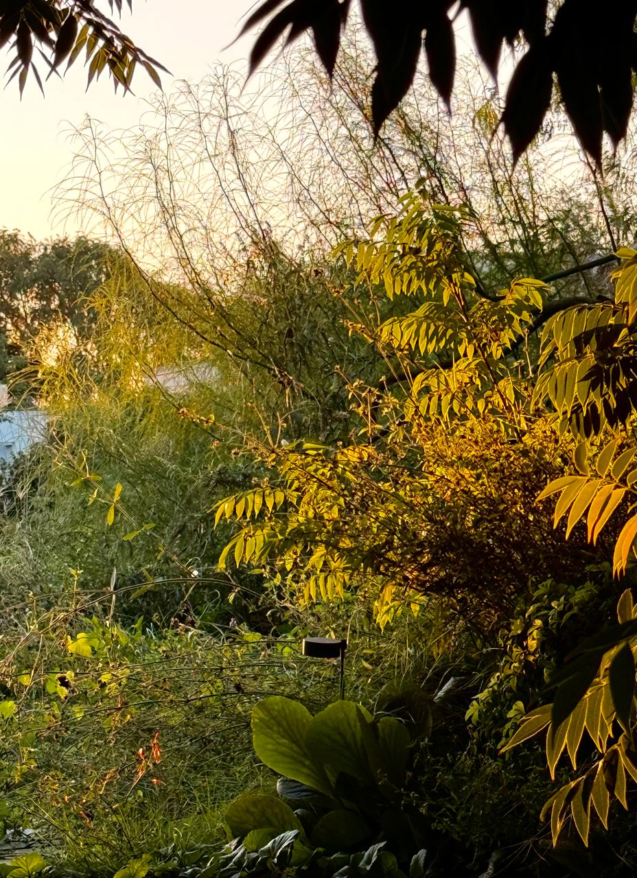 Jardín Cata