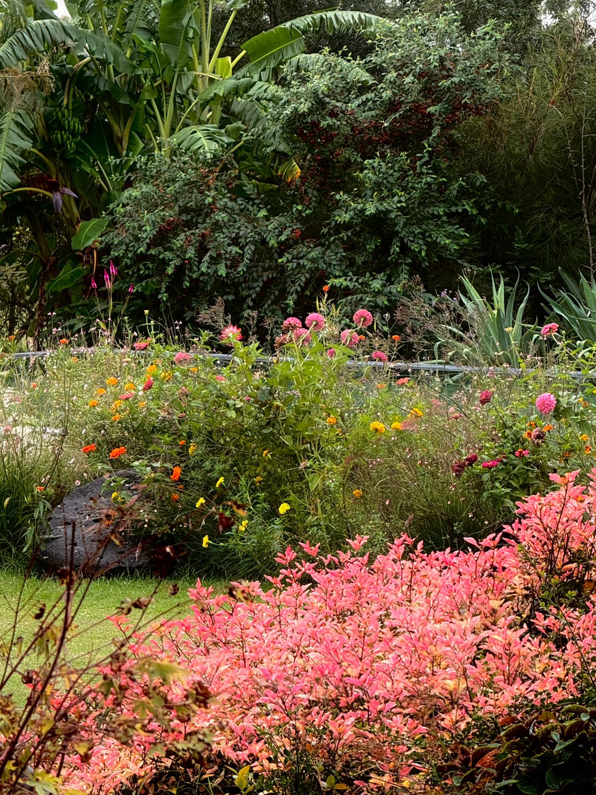 Jardín Cata