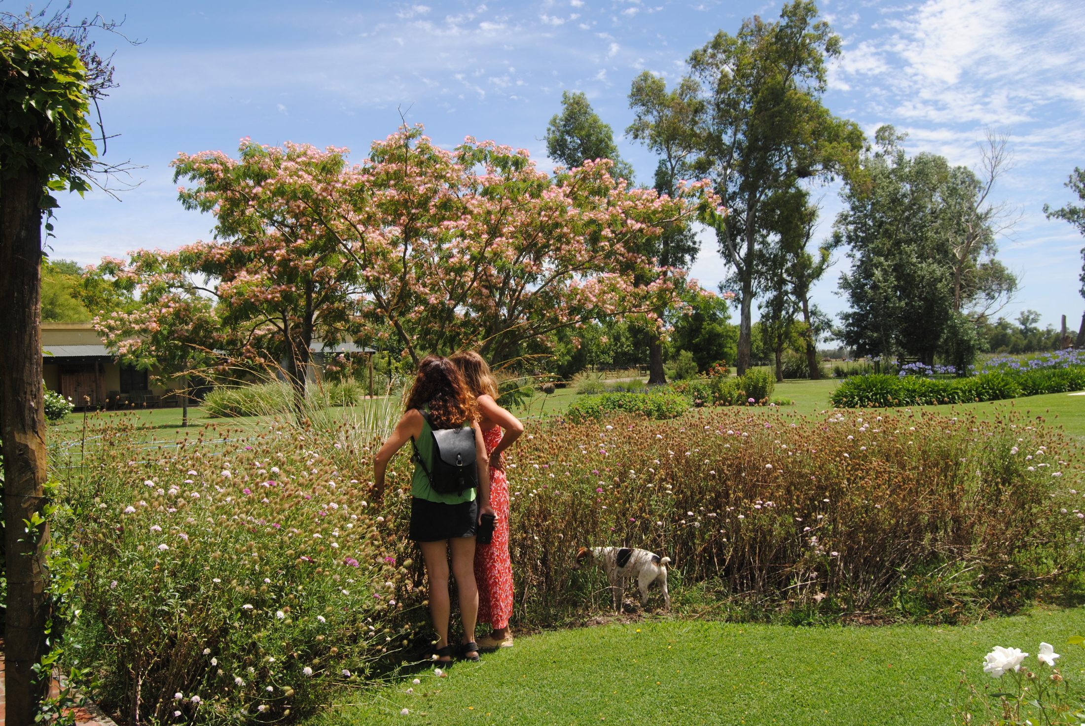 Parque Romina