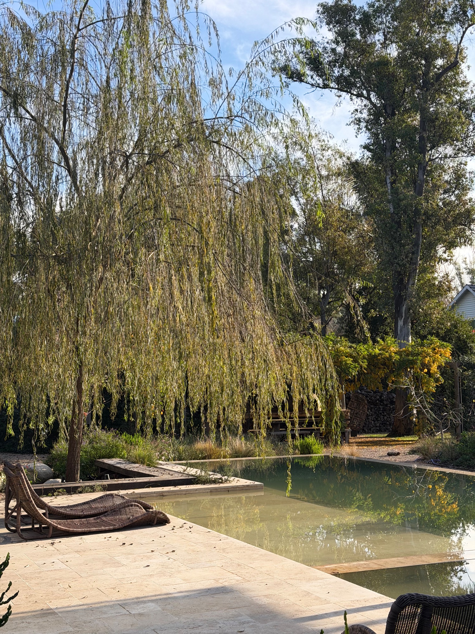 Jardín San Diego S+M