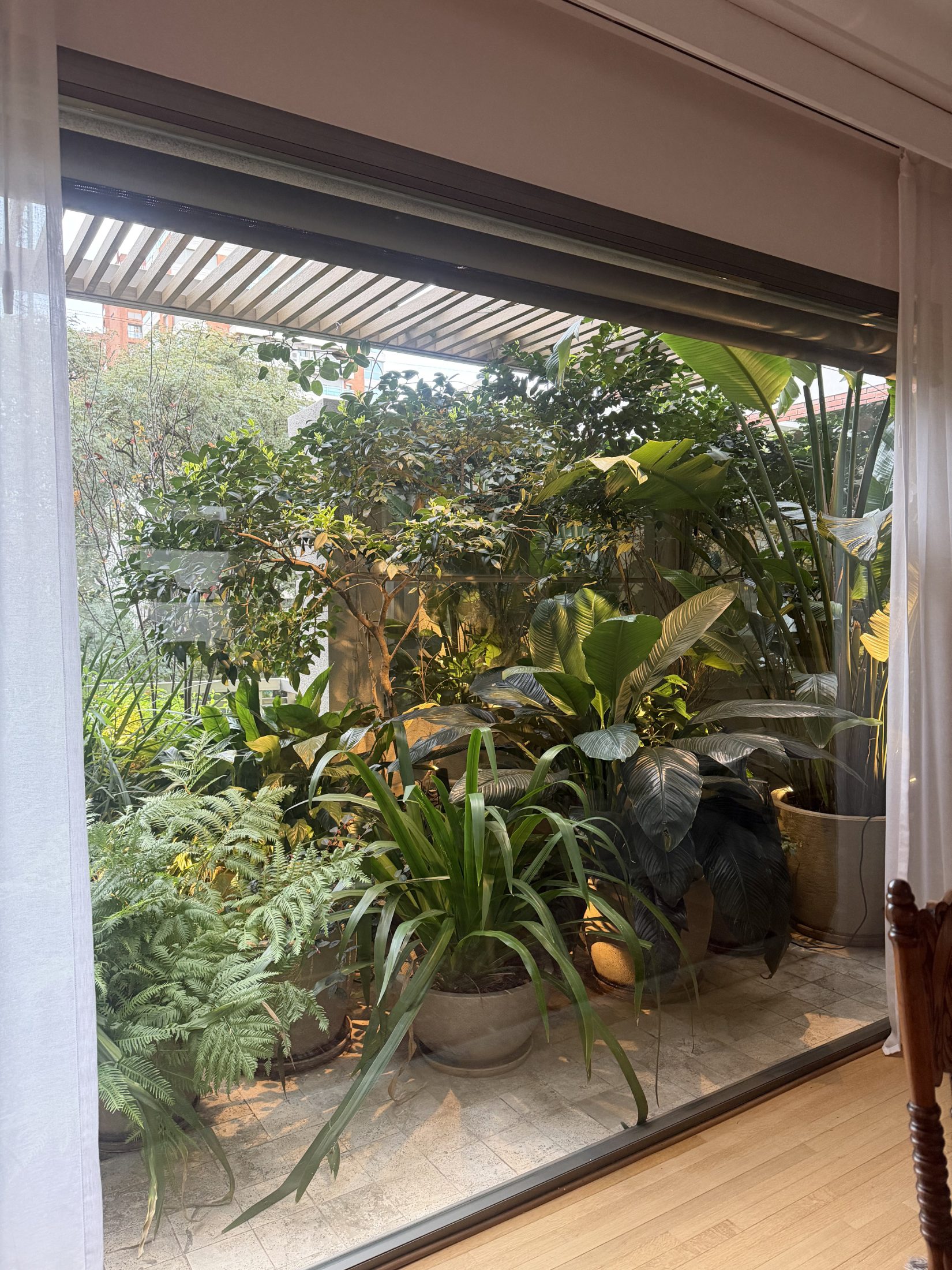 Terraza Estela